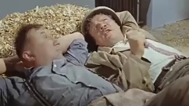 Работа не волк.