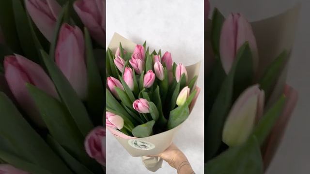 Розовые тюльпаны смотреть онлайн