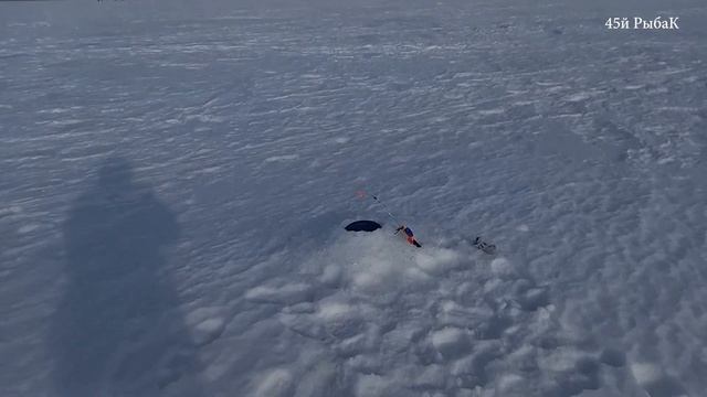 Мой трофейный окунь 22 марта 2023 смотреть онлайн