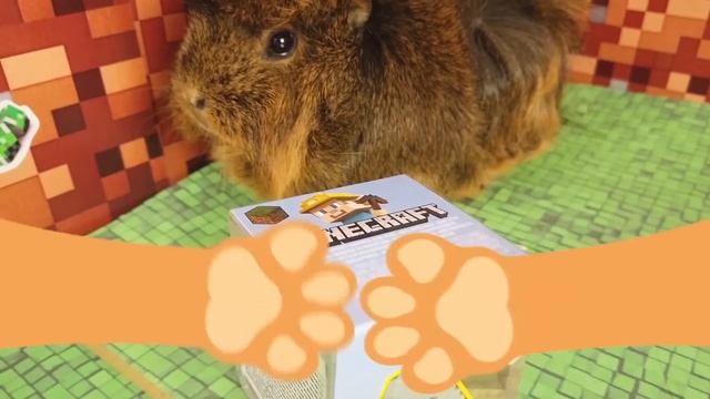 ПРАНК над Бузей в тюрьме МАЙНКРАФТ | MINECRAFT ЧЕЛЛЕНДЖ от МОРСКИХ СВИНОК Бузи и Кузи смотреть онлайн