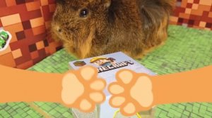 ПРАНК над Бузей в тюрьме МАЙНКРАФТ | MINECRAFT ЧЕЛЛЕНДЖ от МОРСКИХ СВИНОК Бузи и Кузи