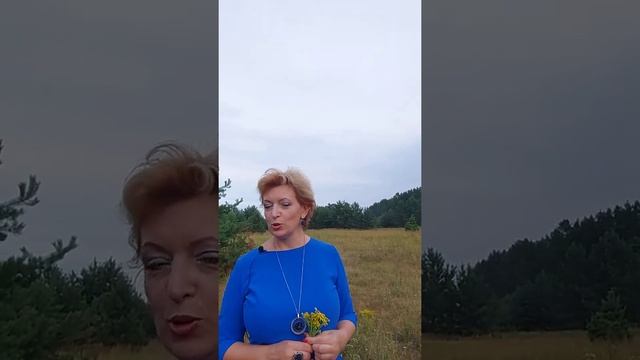 А кто докажет, что я знал, что дерево пилить нельзя? Ответ здесь!