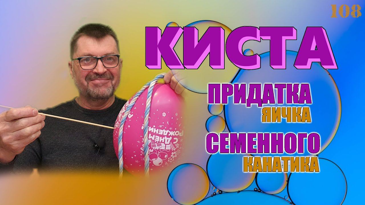 Киста придатка яичка. Лечение кисты. Опасность для мужского здоровья смотреть онлайн