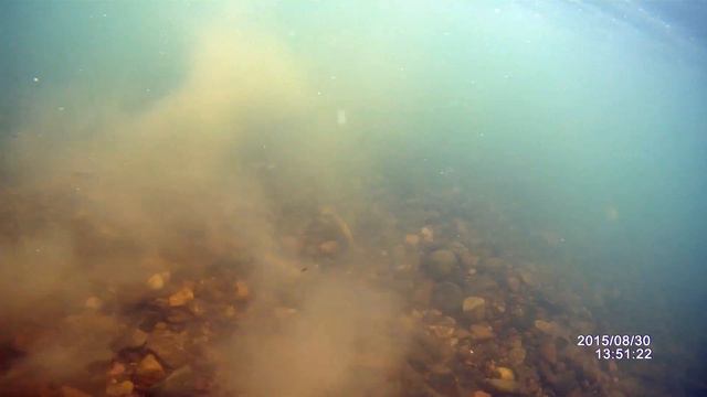 Канский район. Рыбы нет. :) смотреть онлайн