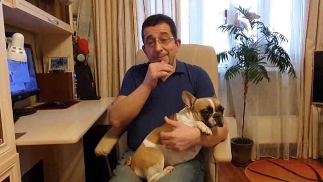 Где можно купить щенка французского бульдога дешевле 10.000? Рассказываю! смотреть онлайн