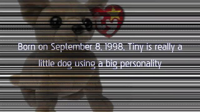 Ty Beanie Babies Tiny Dog смотреть онлайн