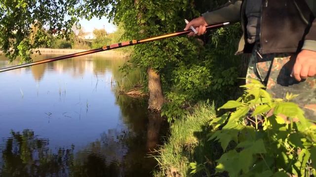 Летняя рыбалка поплавчанкой на карася от Михалыча смотреть онлайн