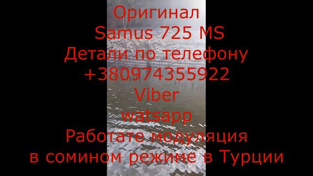 Samus 725 MS Samus 1000 Rich P 2000 ПОВТОР