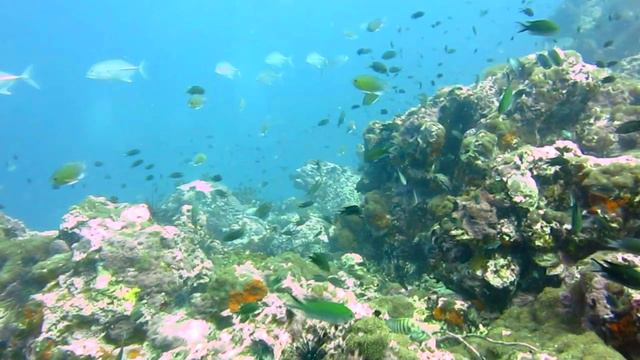 Дайвинг в Таиланде смотреть онлайн