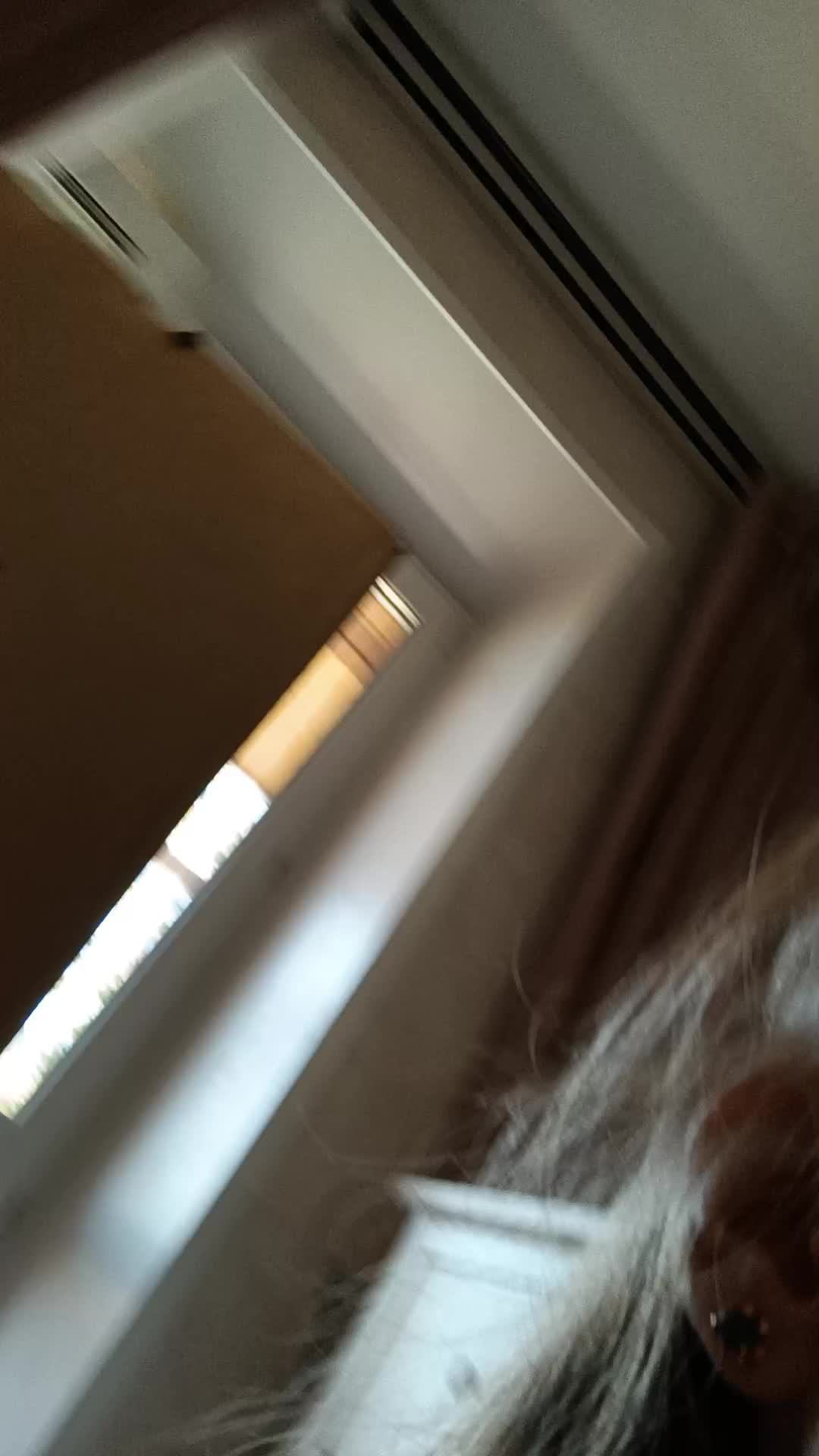 я смотреть онлайн