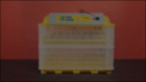 Инкубатор SITITEK 96. "Расширенные" (дополнительные) настройки