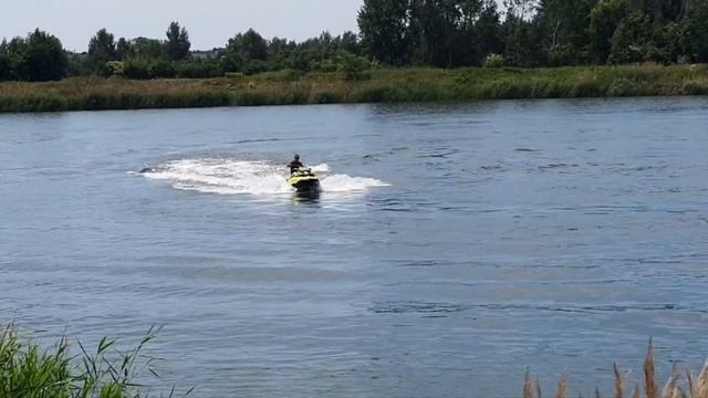 Seadoo Rxp 300KM 2019r