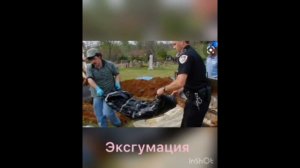 Следственное действие - эксгумация