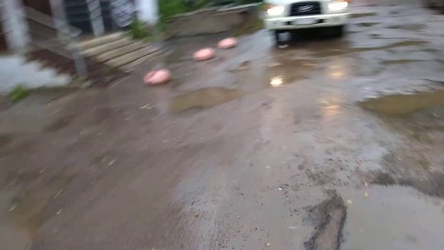 Пойти в Вологде пешком смотреть онлайн