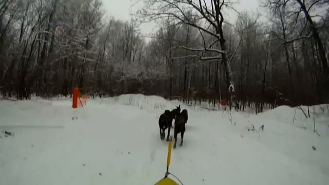 Самара 2013 день первый смотреть онлайн