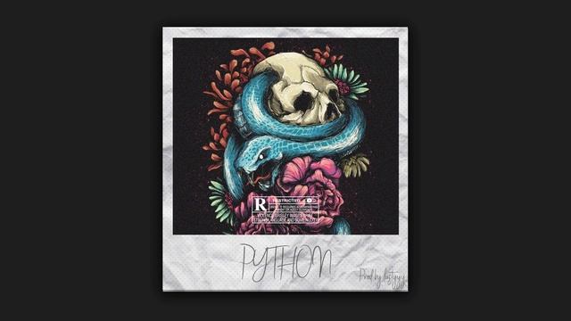 (FREE) Roddy Rich x Gunna x Young Thug Type Beat - PYTHON / Guitar Trap Beat 2020 (Prod. Lustyyy) смотреть онлайн