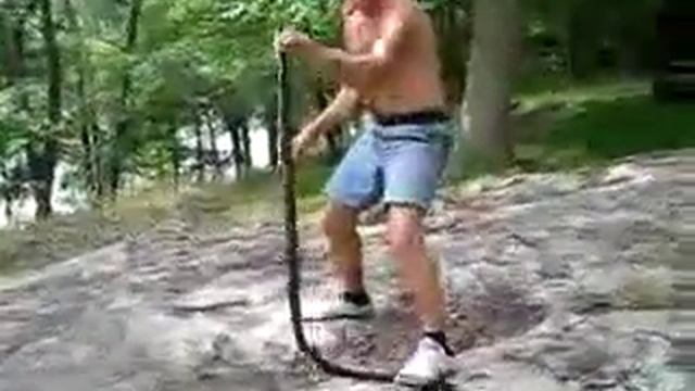П'яный парень хочет зловить самую ядовитую змею в мире ( Чорную мамбу) смотреть онлайн