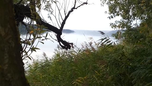 на Дону с гамаком смотреть онлайн