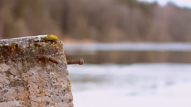 Белые лебеди. Прогулка по красивому озеру весной смотреть онлайн