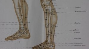 Отыскиваем точку R-3 Тай-Си.