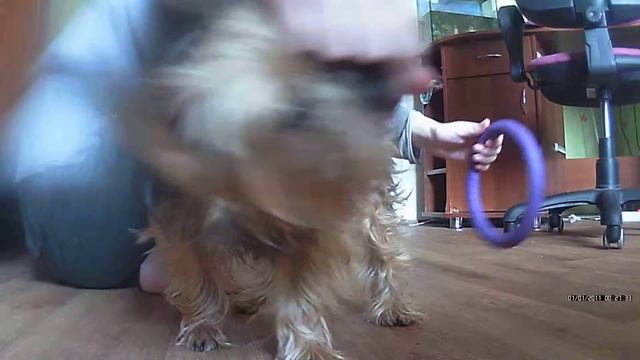 как Роня играет с пуллером смотреть онлайн