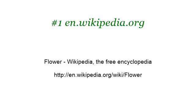 When To Start Planting Flowers In Central Florida смотреть онлайн