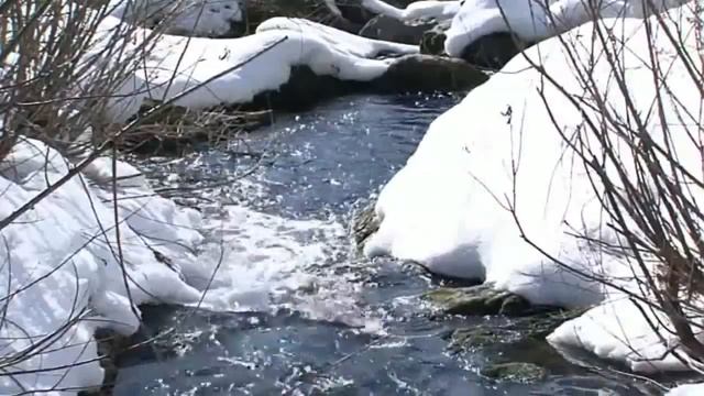 Людмила Горцуева -Здравствуй, милая веснянка (на стихи Валентины Крюковой, муз. Л.Горцуевой) смотреть онлайн