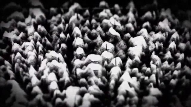 zenial - connection reset by the peer (trailer) смотреть онлайн