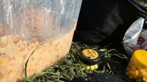 Жаркая Рыбалка на Сазана! Ловля сазана в Краснодарском Крае!