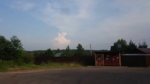 Дикий голубь (пение) и дачная тишина.