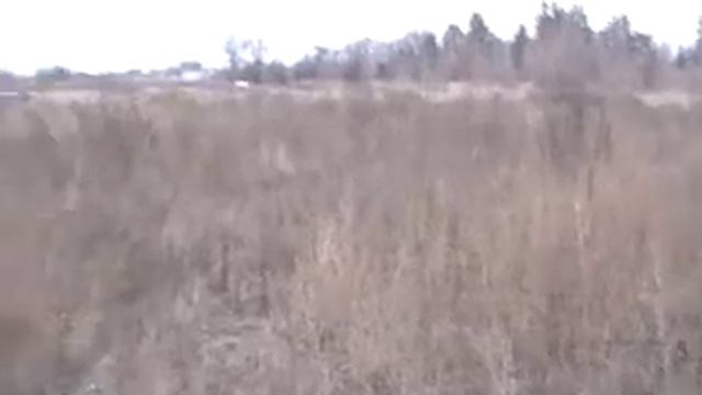 Днепропетровские елки-призраки смотреть онлайн