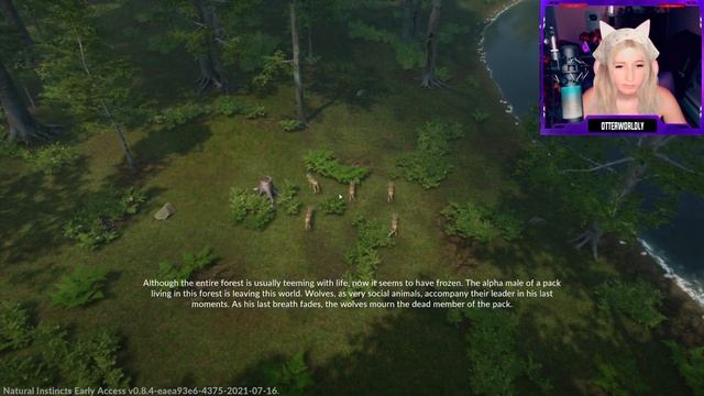 Natural Instincts - It's The Sims but with Animals! (PC Gameplay) смотреть онлайн