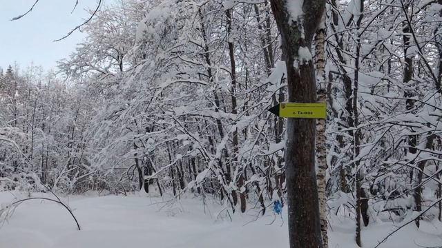 2 января. Малый Ветлан. смотреть онлайн