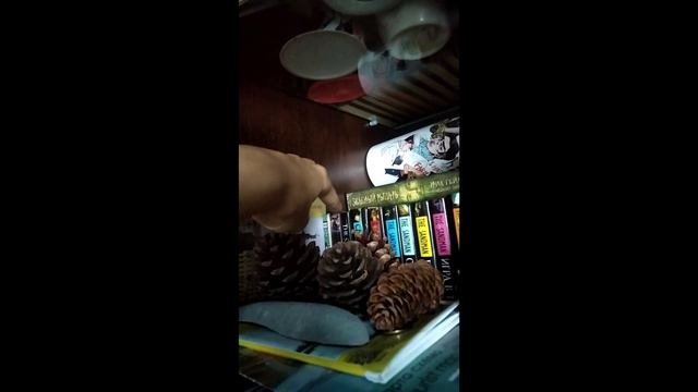 Нестандартный день рождения сестры смотреть онлайн