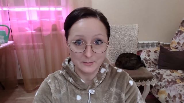Про новые правила для пользователей Ютуб. Реклама будет без партнерки у всех! Ответы на вопросы. смотреть онлайн