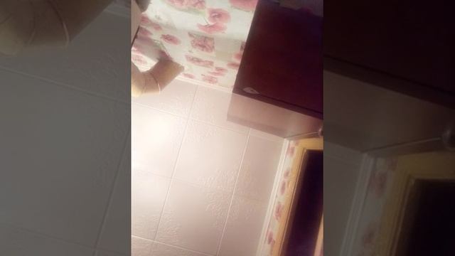 Как очистить слайм от ковра смотреть онлайн