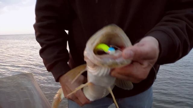 Fishing Tip - Berkley GULP! Minnows for Clear Water Jigging S10E01 смотреть онлайн