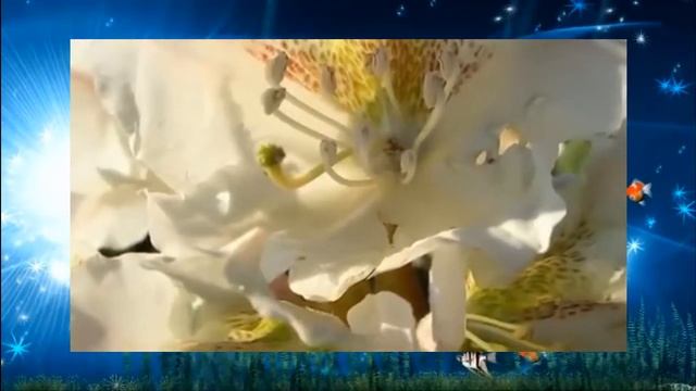 Детская песня Караоке Чему учат в школе смотреть онлайн