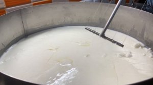 Камамбер сыр с белой плесенью простой и понятный рецепт у себя дома в сыроварне Тремасова союз