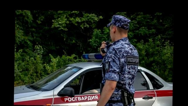 Росгвардейцы начали массово проверять документы у водителей смотреть онлайн