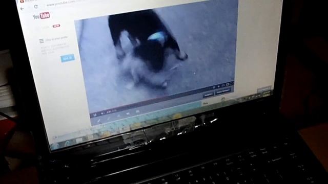 test video смотреть онлайн