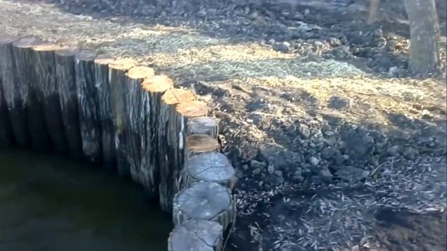 #подпорнаястенка Подпорная стенка у водоема с бревен акации. смотреть онлайн