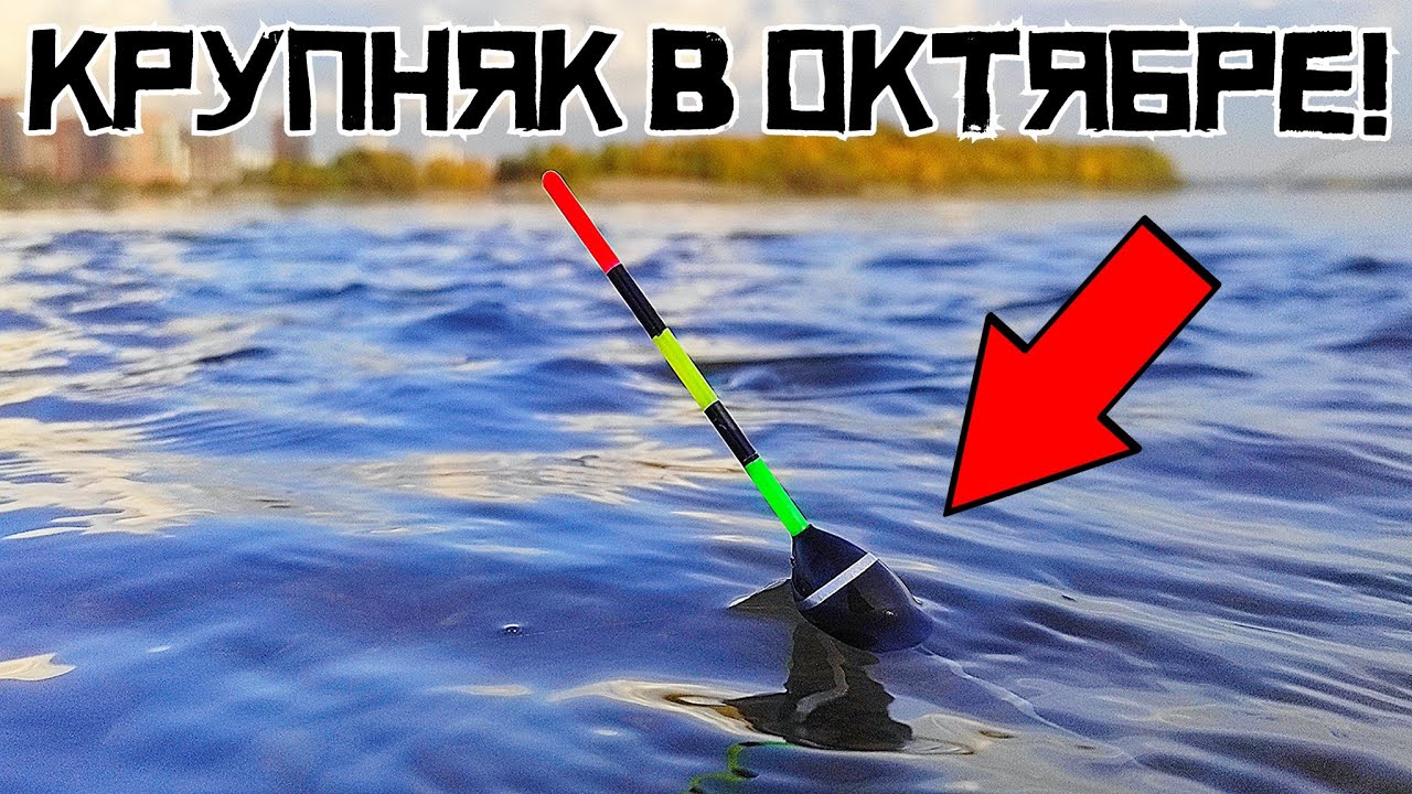 ТОПИТ ПОПЛАВОК СРАЗУ! Кто клюет в октябре у ПЛОТИНЫ?! Осенняя рыбалка 2023. смотреть онлайн