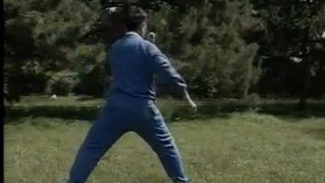 ⚠️ Тайцзыцуань Чэнь форма 24 от Фэн Чжицян | Chen Style Tai Chi 24 form Feng Zhiqiang 冯志强 смотреть онлайн