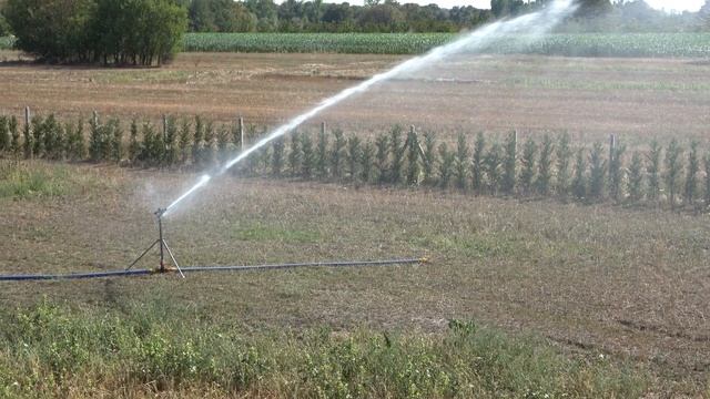 Спринклер Atom 35 смотреть онлайн