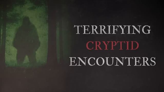 20 Scary Cryptid Encounter Horror Stories смотреть онлайн