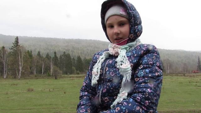 Правила безопасности общения с лошадьми. смотреть онлайн