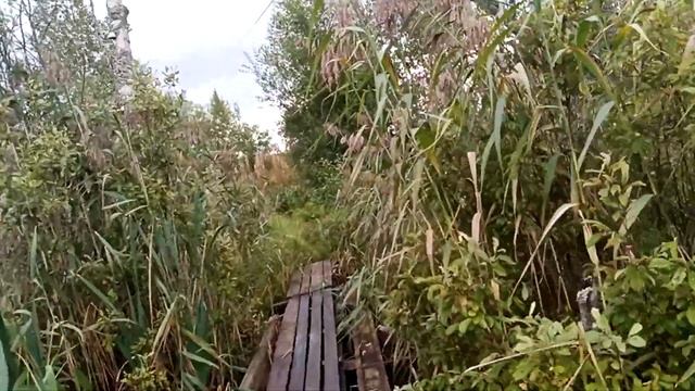 Озеро Мышино,деревня Варгусово,Окуловский район,Новгородская область,земельные участки 1я-3я линии смотреть онлайн
