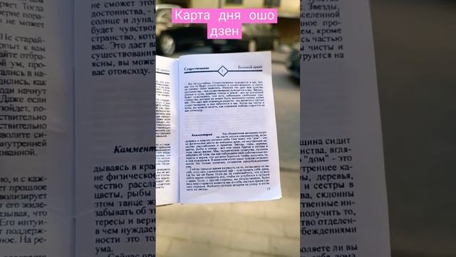 ошо дзен таро осозноность карта дня подсказки высшие силы расклад гороскоп смотреть онлайн