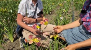 Опыление цветка: секреты от Ворошиловой / Сад Ворошиловой